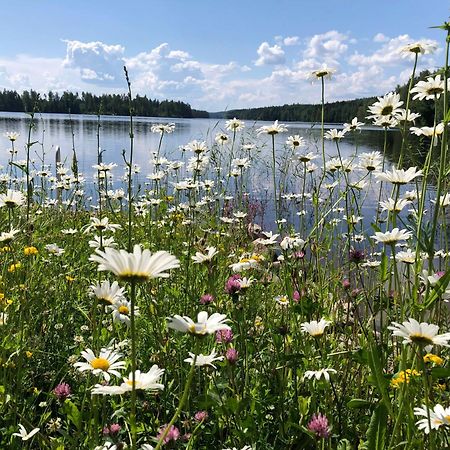 Vehkaniemen Lomatila Pohjaslahti Luaran gambar