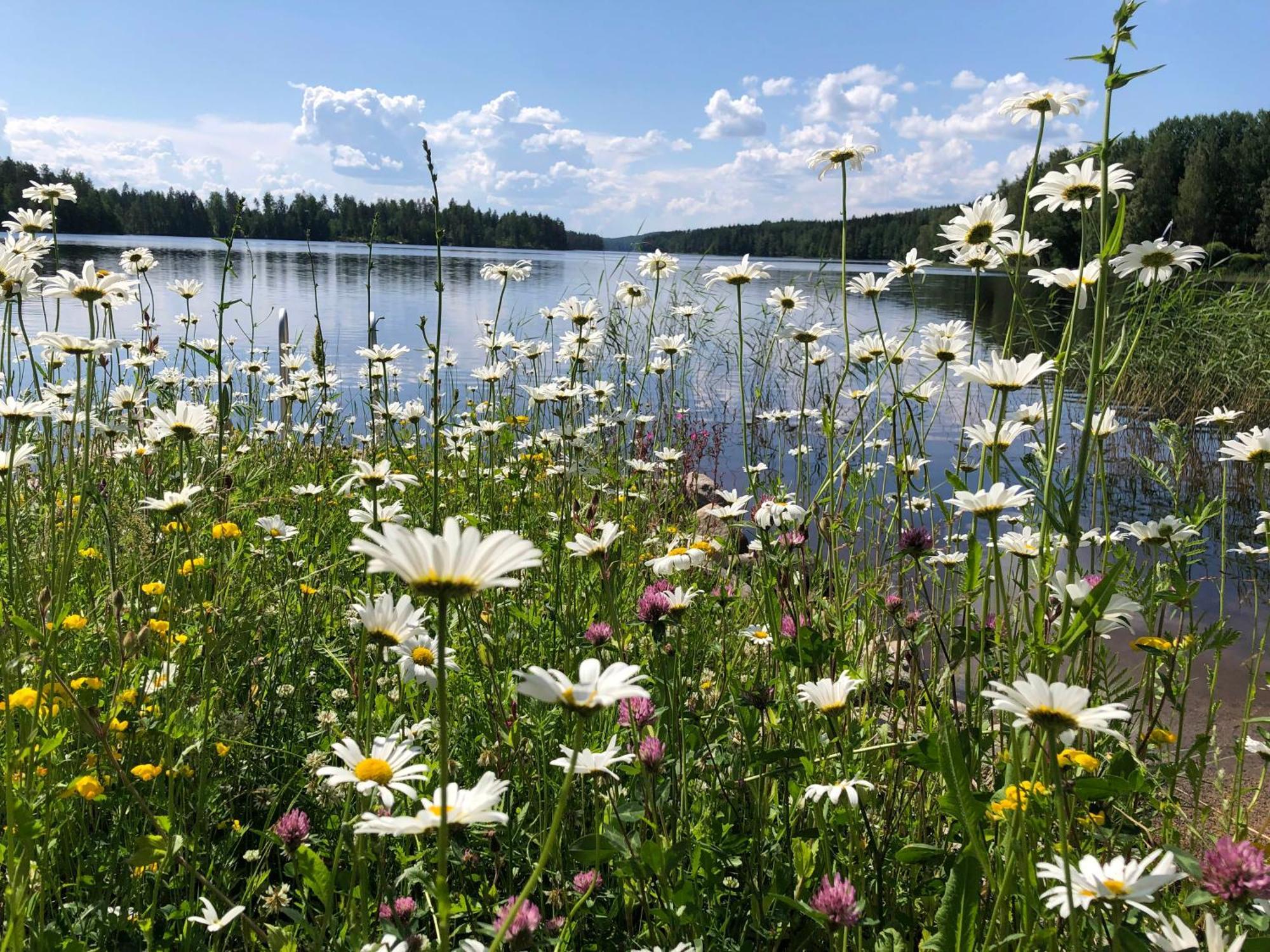 Vehkaniemen Lomatila Pohjaslahti Luaran gambar